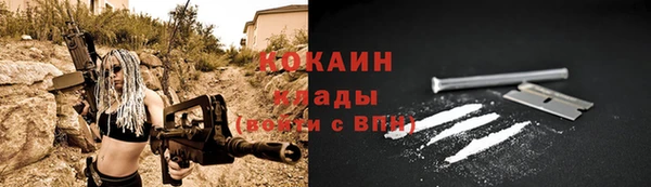 спайс Арсеньев