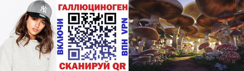 мега как зайти  Можга  Псилоцибиновые грибы мухоморы 