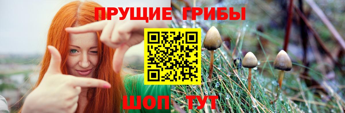 Можга  Галлюциногенные грибы мухоморы  магазин  наркотиков  Вход с VPN  Галлюциногенные грибы GOLDEN TEACHER 